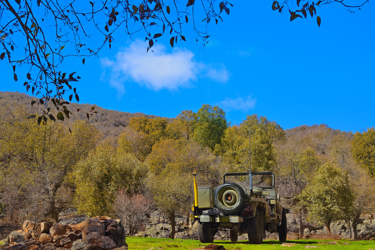 سالند کوه بام دزفول